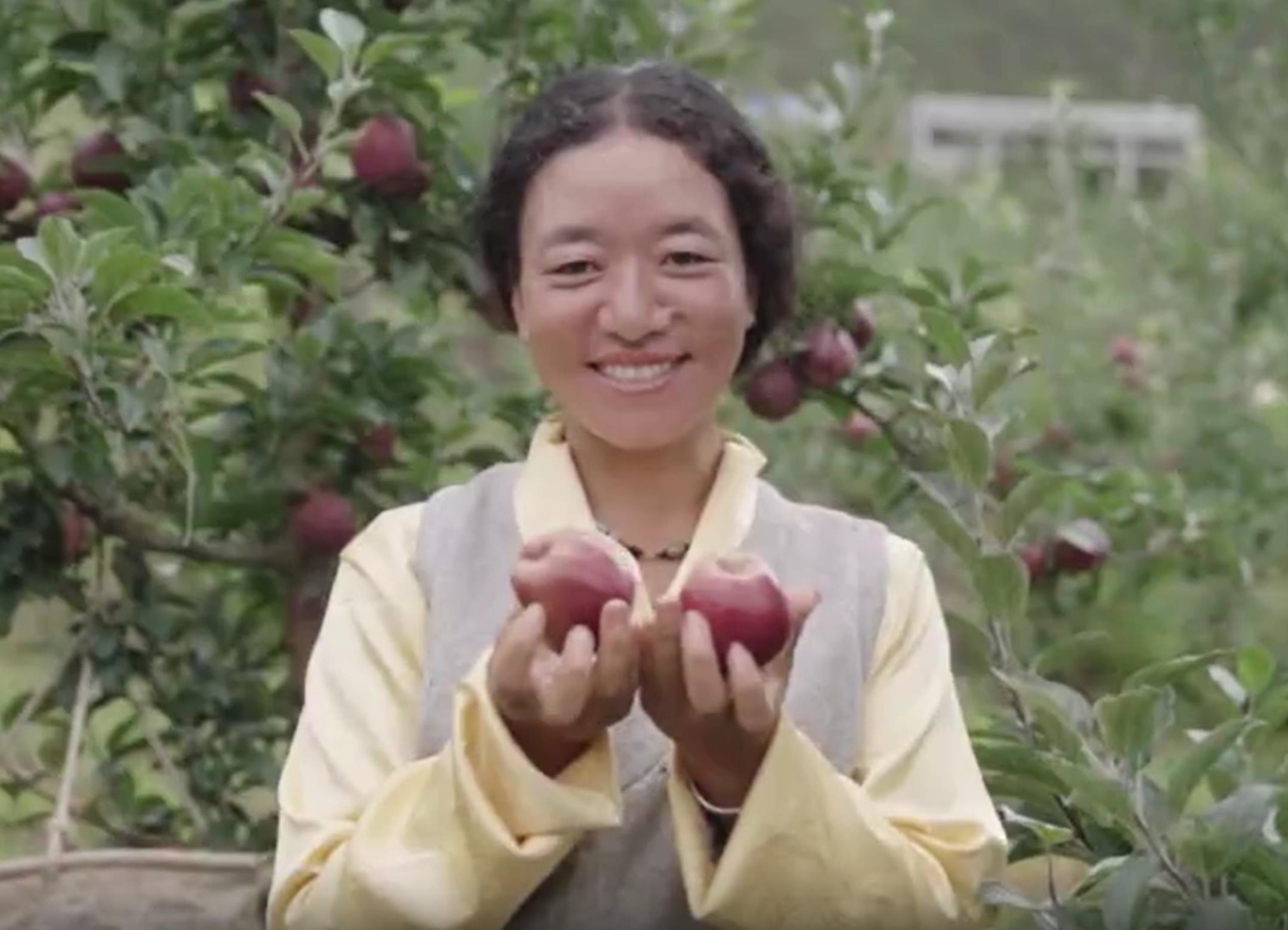 盈盈彩app下载常用功能乡城的美食藏