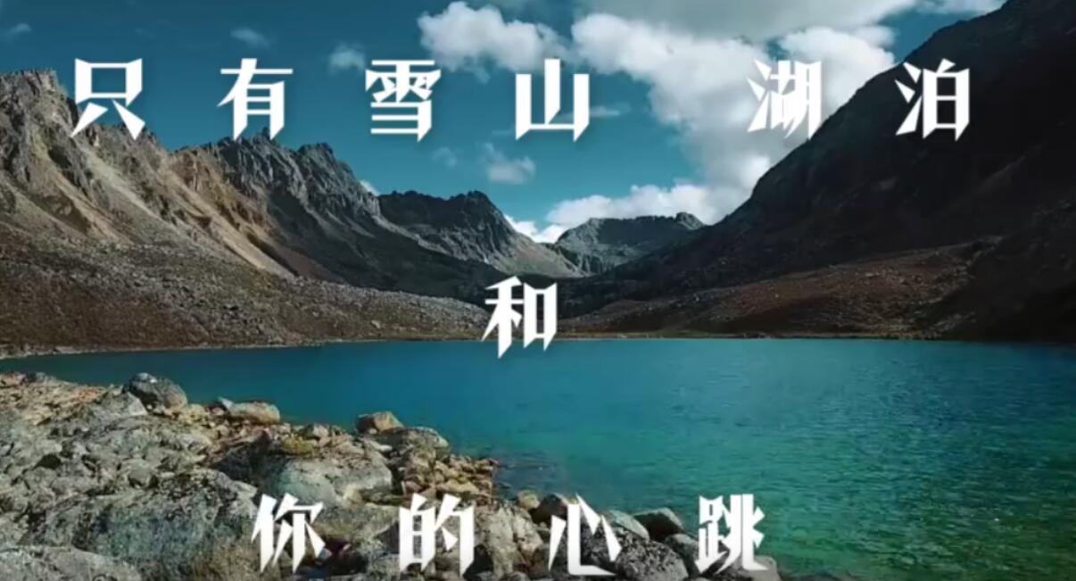 城市酒店千篇一律