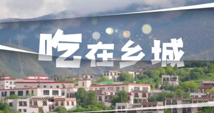 藏青面料绣彩纹