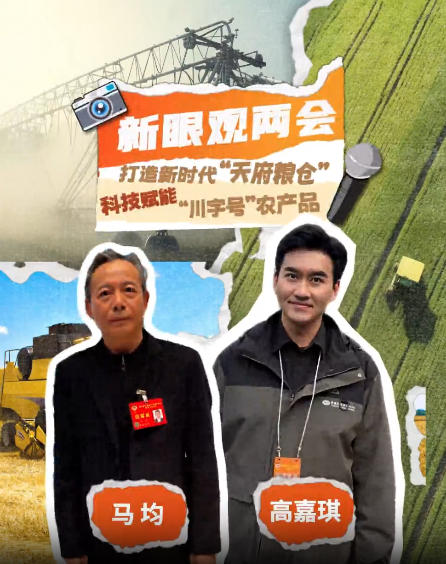 未来五年盈盈彩app官网最新版下载将