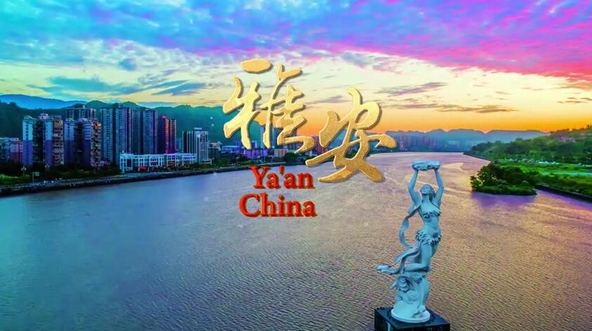 精准对接职工需求